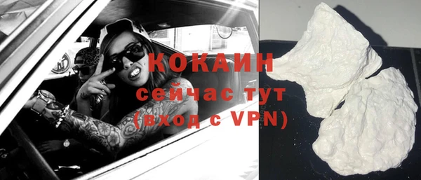 дживик Верея