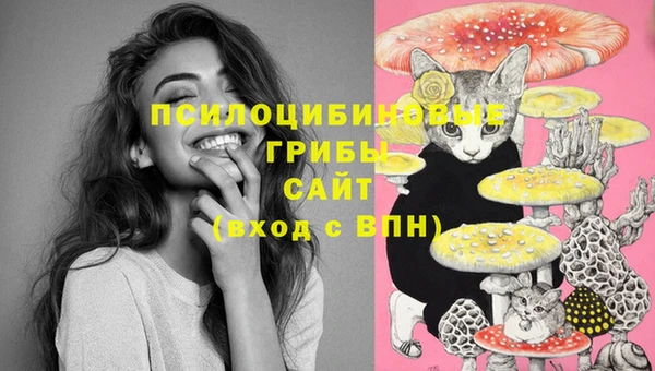 дживик Верея