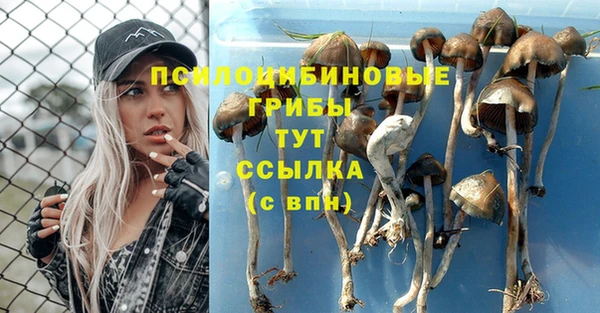 тгк Волосово