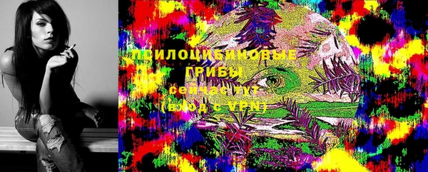 герыч Верхний Тагил